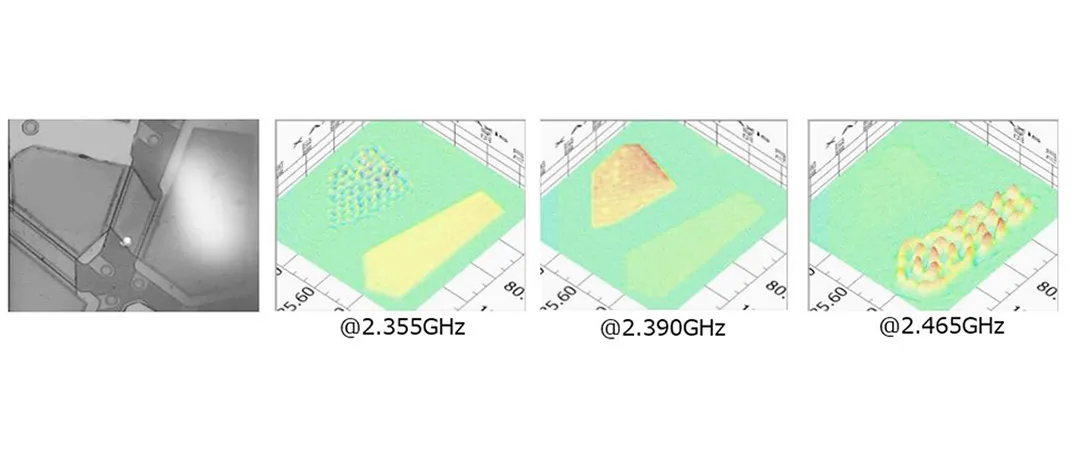 観察例イメージ画像