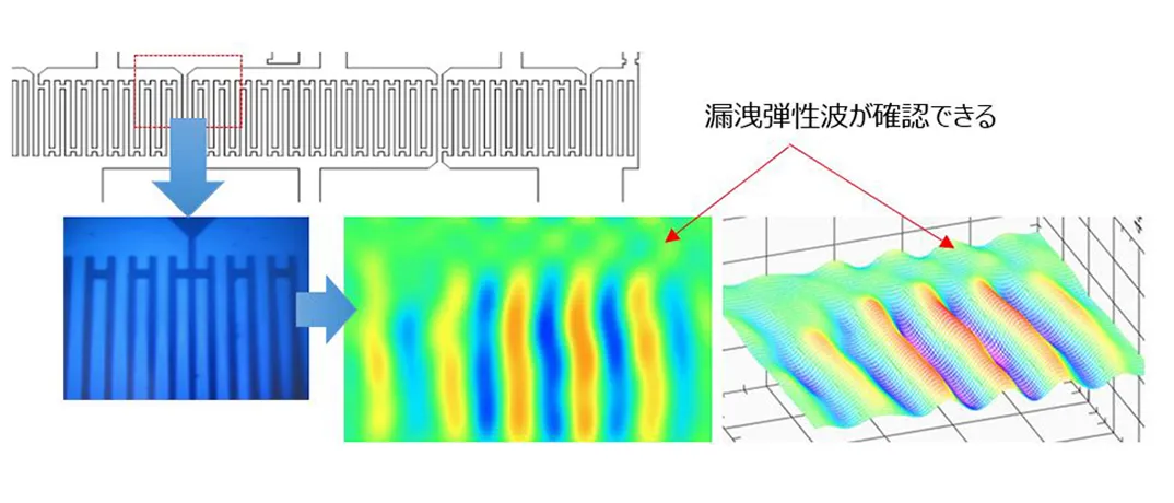 観察例イメージ画像