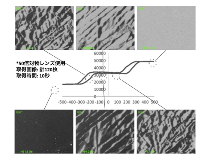 磁場掃引下 電磁鋼板 研磨面 磁区構造変化の様子